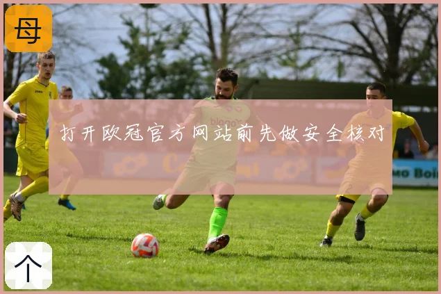 打开欧冠官方网站前先做安全核对