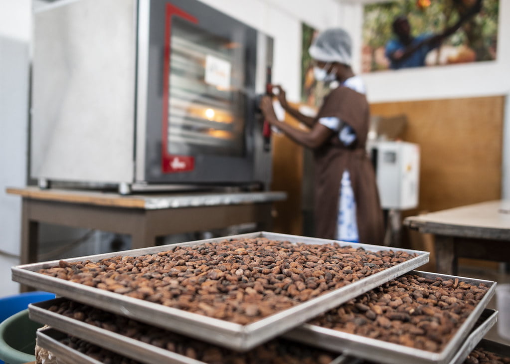 Artisanal chocolate making