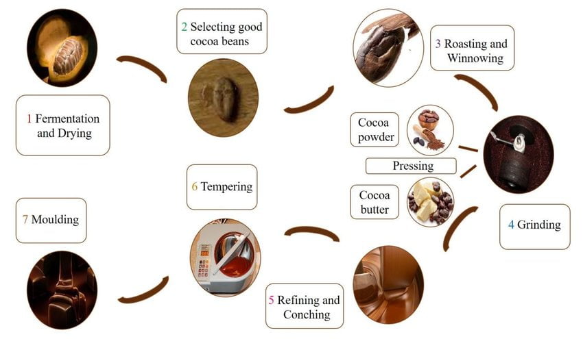 Chocolate Making Process