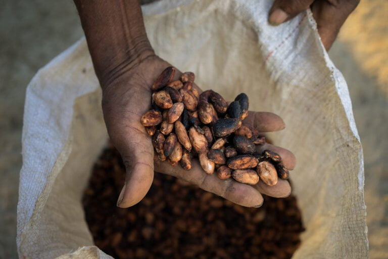 Production Chocolate